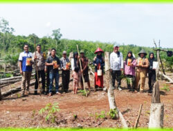 Dukung SADESAHE Program Pemerintah Pusat, Pemdes Taba Baru Laksanakan Penanaman Jagung