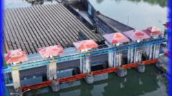 Memproteksi Hulu, Mentransferkan Energi, Ikhtiar Konservasi di PLTA Musi Bengkulu