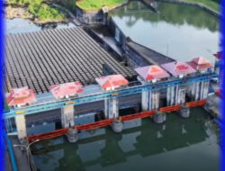 Memproteksi Hulu, Mentransferkan Energi, Ikhtiar Konservasi di PLTA Musi Bengkulu